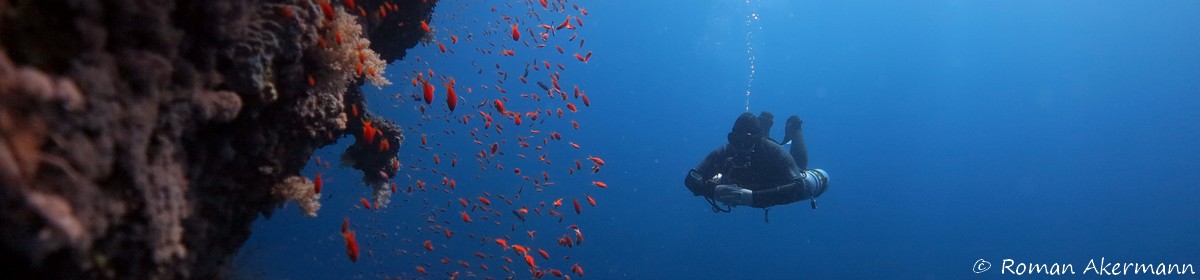 Sidemount-Tauchen